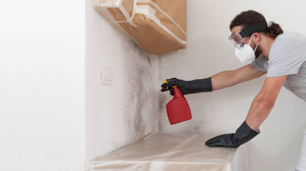 Professional Bathroom Mold Removal technician working in Melrose, MA